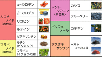 活性酸素を抑える方法！