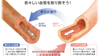 歳より老けて見えるのは｢血管力｣の低下！